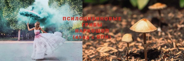 прущие грибы Алексин