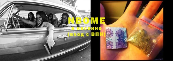 винт Алзамай