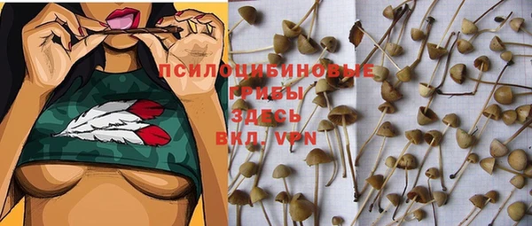 бутират Алексеевка