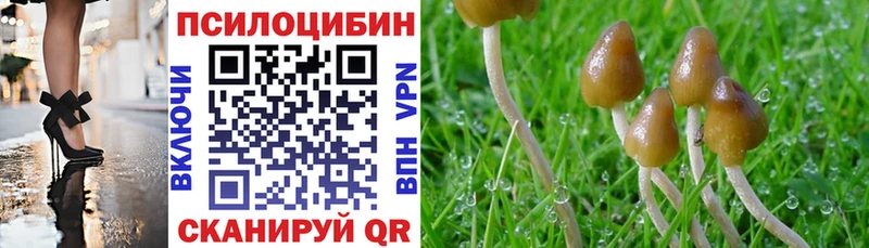 наркота  Асино  Галлюциногенные грибы Psilocybe 