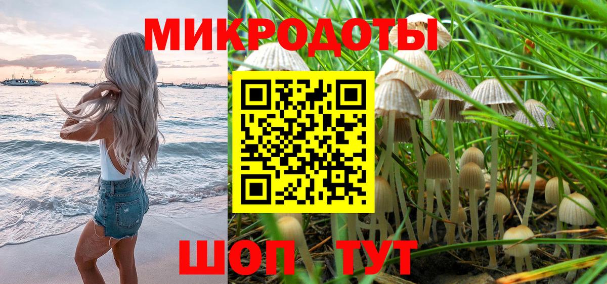 Асино  Псилоцибиновые грибы Psilocybine cubensis  Вход с VPN 
